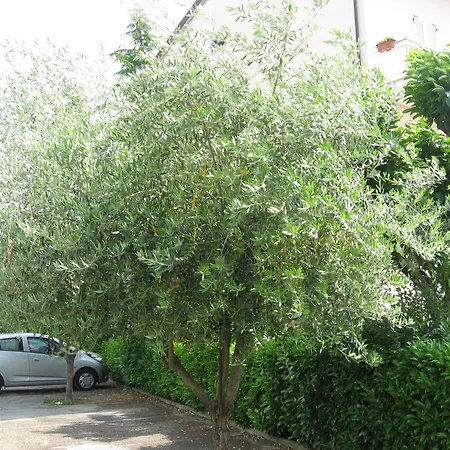 Hotel Campiglione Assisi