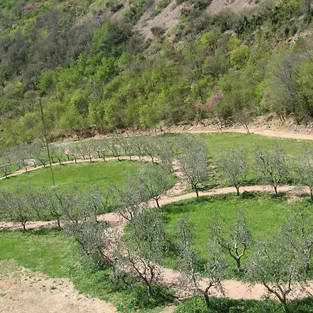 Campiglione Assisi